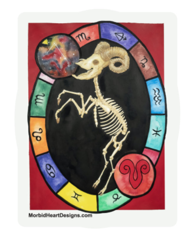 Aries Skeleton